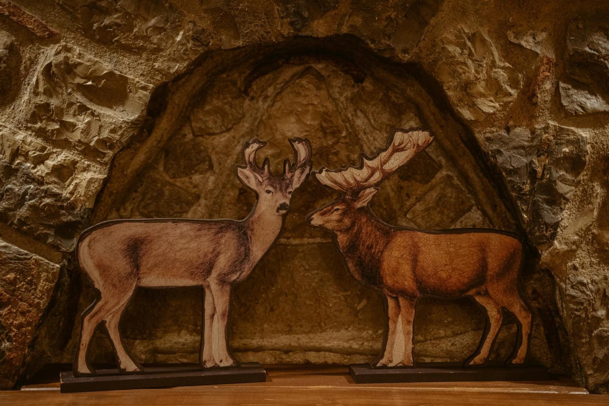 Afanos Guesthouse Arachova Pokój zdjęcie